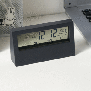 Emissions and Stack Temperature Hygrometer With Clock