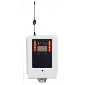 Wireless Explosion-Proof CO Gas Detector - Emissions and Stack