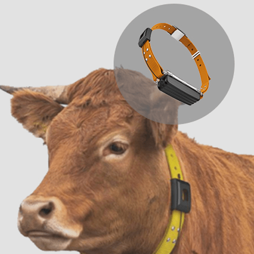 LoRaWAN GPS Tracker with 12KM Range, 38000mAh Battery - Emissions and Stack - Image 2