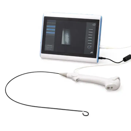 Emissions and Stack Disposable Flexible Endoscope